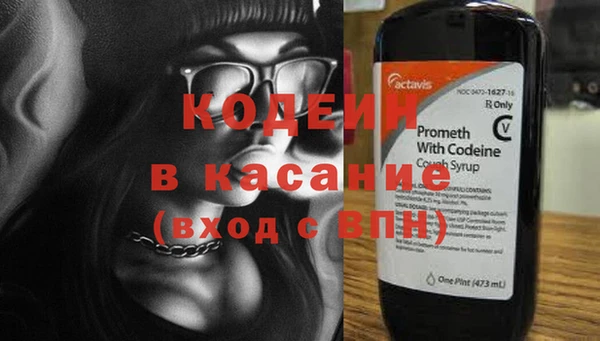 крисы Белокуриха