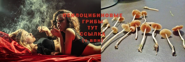 соль курить ск Балабаново