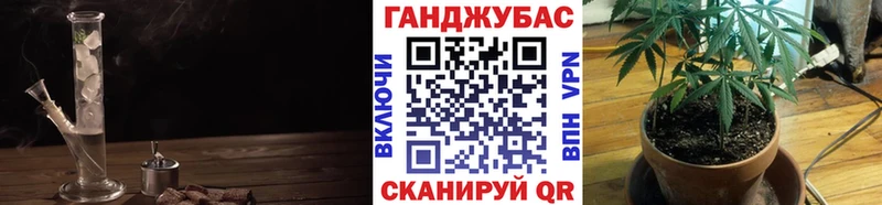 купить  цена  Будённовск  mega   Бошки марихуана Amnesia 